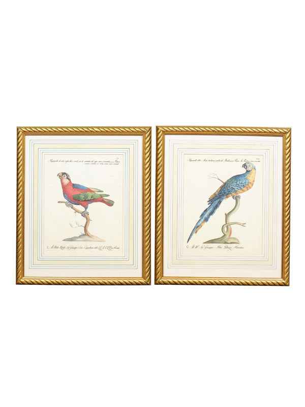 Pair of Framed Bird Engravings