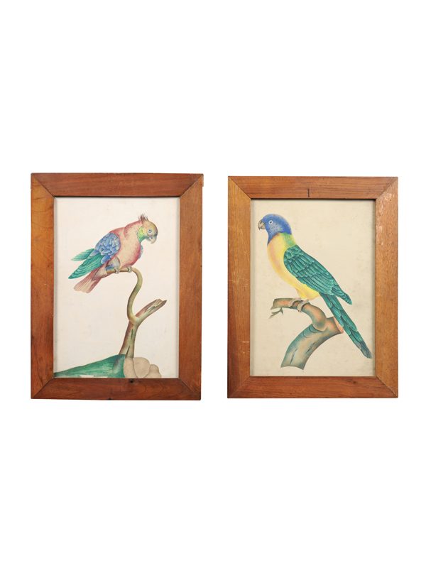 Pair 19th Century Watercolor Birds