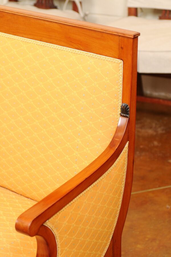 Directoire Sofa in Fruitwood with Paw Feet, France ca. 1800 - Image 13