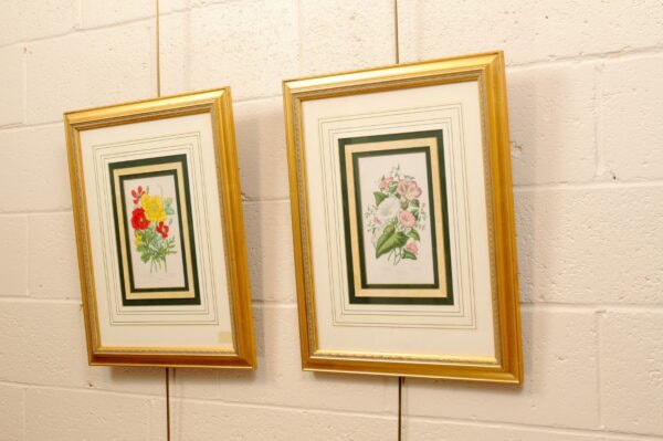 Pair of Framed Botanical Engravings - Image 12