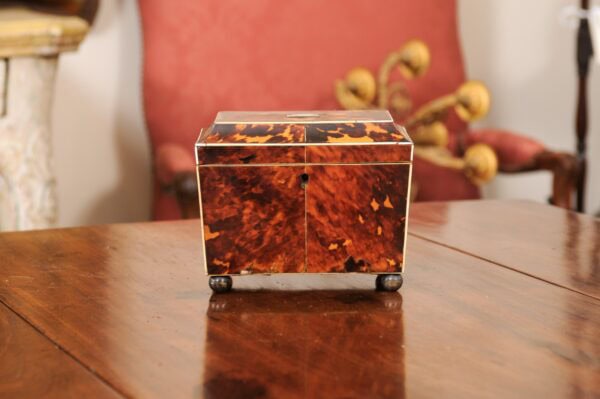 Early 19th Century English Tortoiseshell Tea Caddy - Image 13