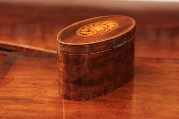 English 18th Century Oval Mahogany Tea Caddy with Shell Inlay - Image 12