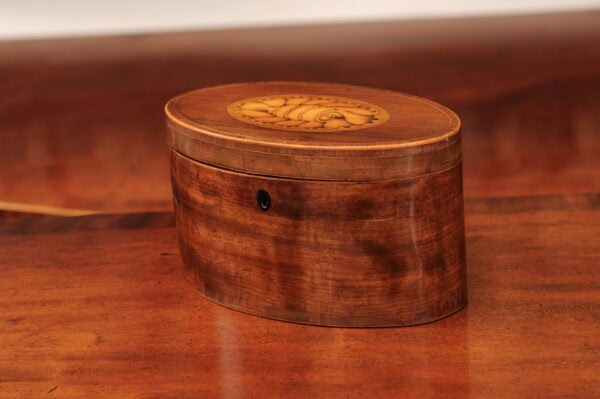 English 18th Century Oval Mahogany Tea Caddy with Shell Inlay - Image 14