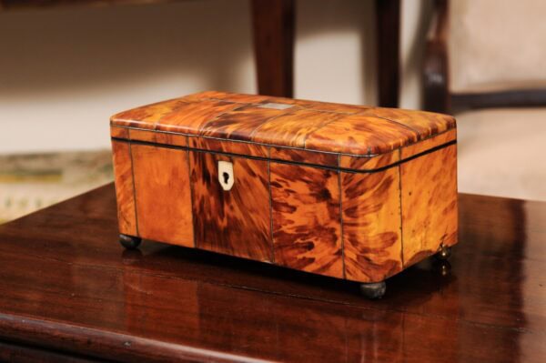 Large 19th Century English Tortoiseshell Jewelry Box / Tea Caddy - Image 13