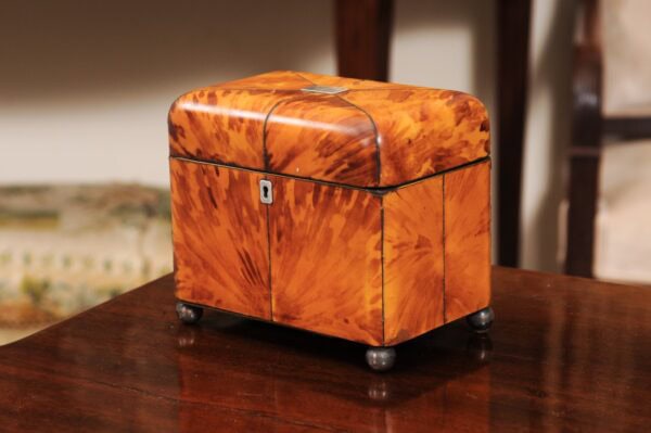 19th Century English Blonde Tortoiseshell Tea Caddy - Image 13