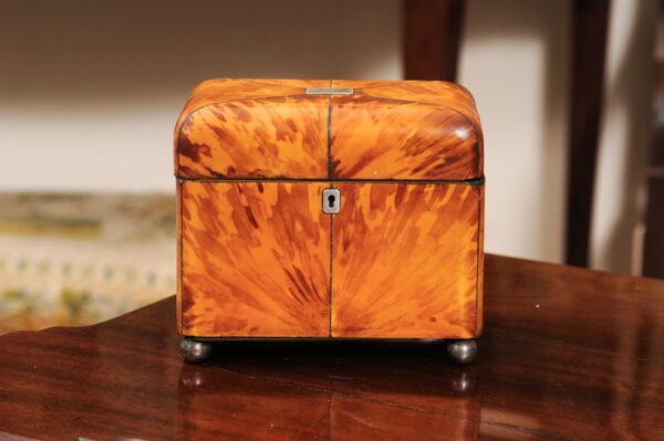 19th Century English Blonde Tortoiseshell Tea Caddy - Image 14