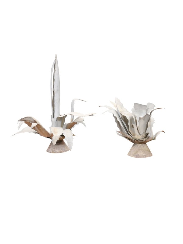 Pair of Tole Agave Plants, France