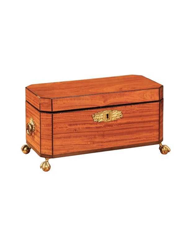 Large Double Tea Caddy in Satinwood with Paw Feet, 19th Century England