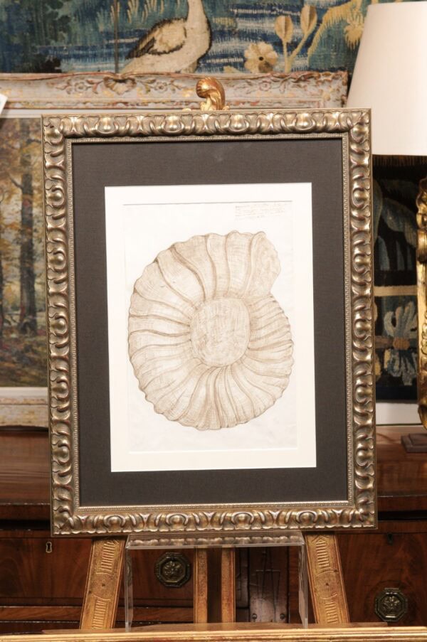 Pair of Silver Gilt Framed Original Illustration Drawings from "Payan du Moulins, dated 1875" - Image 13