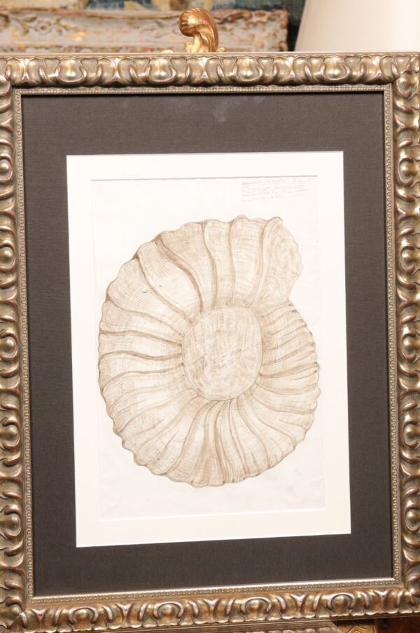 Pair of Silver Gilt Framed Original Illustration Drawings from "Payan du Moulins, dated 1875" - Image 14