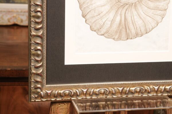 Pair of Silver Gilt Framed Original Illustration Drawings from "Payan du Moulins, dated 1875" - Image 15