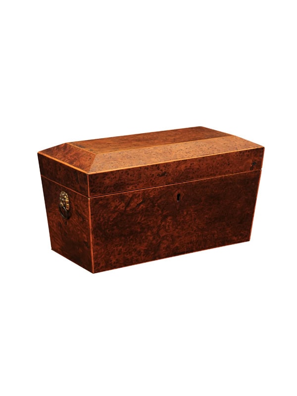 Large 19th Century English Burled Yew Tea Caddy