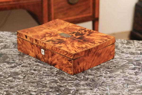 19th Century English Tortoiseshell Work Box - Image 13