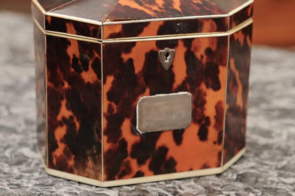 Late 18th Century English George III Tortoiseshell Tea Caddy - Image 14
