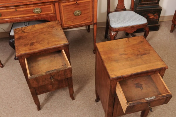 Pair of Late 18th Century Italian Walnut Bedside Commodini with Door & Drawer - Image 9