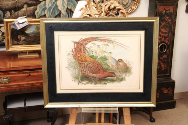 Pair of Framed 19th Century English Bird Engravings - Image 5