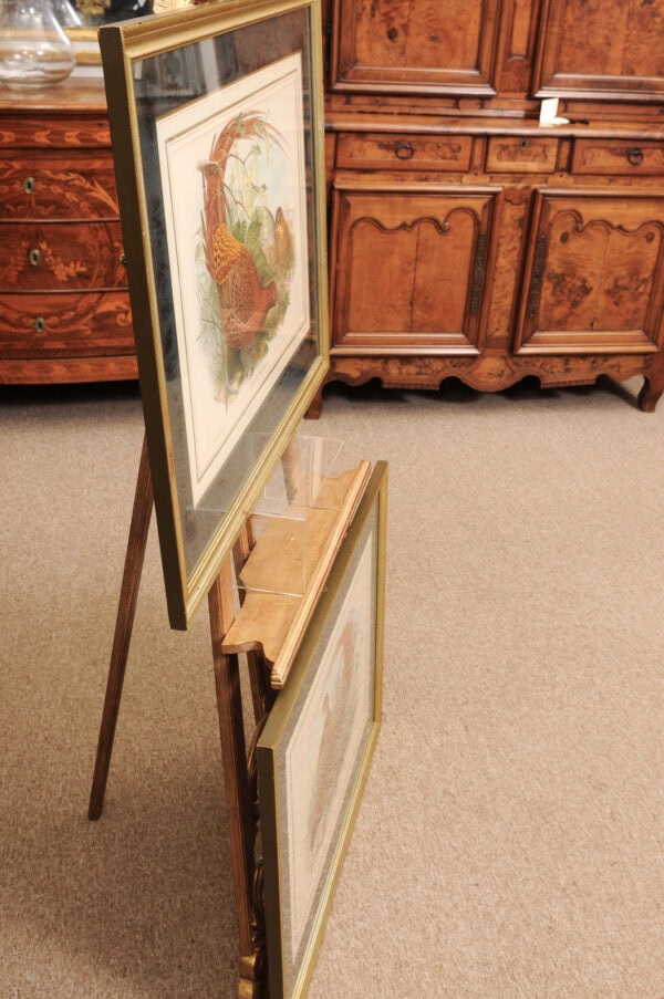 Pair of Framed 19th Century English Bird Engravings - Image 10