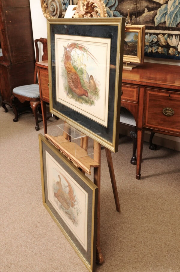 Pair of Framed 19th Century English Bird Engravings - Image 11