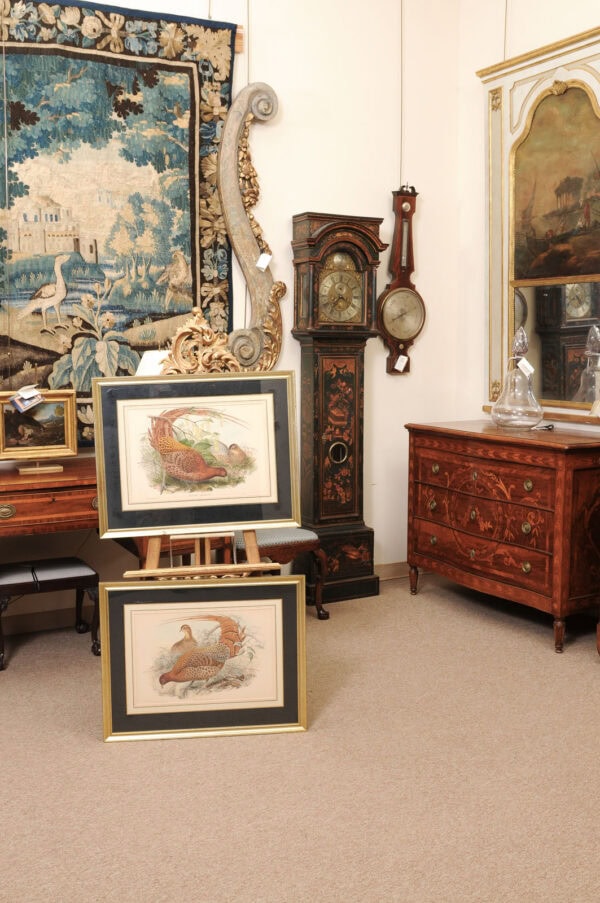 Pair of Framed 19th Century English Bird Engravings - Image 12