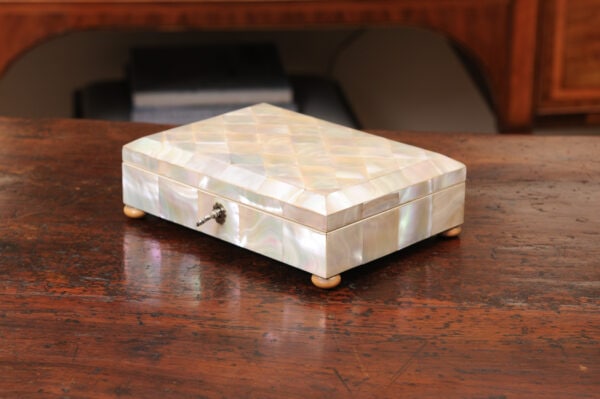 19th Century Mother of Pearl Tea Caddy with Silver Set - Image 13