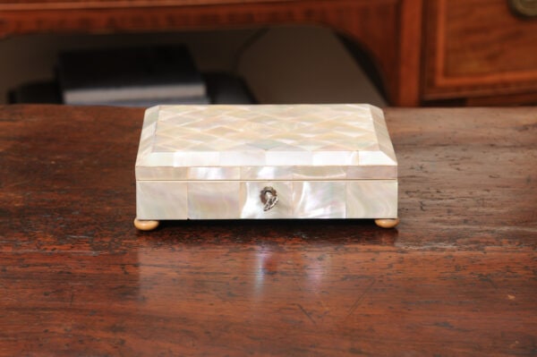19th Century Mother of Pearl Tea Caddy with Silver Set - Image 14