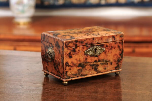 19th Century English Faux Painted Tortoiseshell Tea Caddy - Image 15