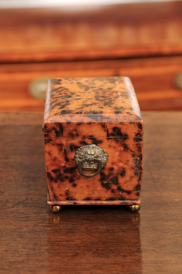 19th Century English Faux Painted Tortoiseshell Tea Caddy - Image 20