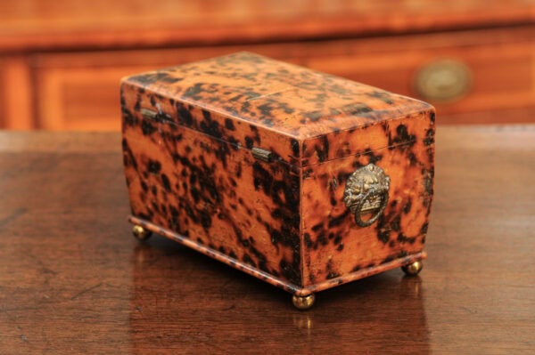 19th Century English Faux Painted Tortoiseshell Tea Caddy - Image 21