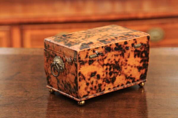 19th Century English Faux Painted Tortoiseshell Tea Caddy - Image 23
