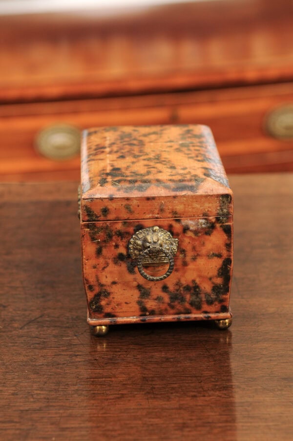 19th Century English Faux Painted Tortoiseshell Tea Caddy - Image 24