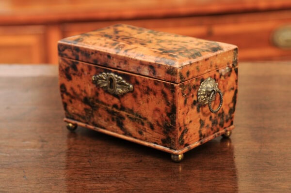 19th Century English Faux Painted Tortoiseshell Tea Caddy - Image 25