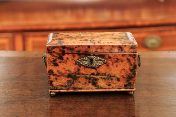 19th Century English Faux Painted Tortoiseshell Tea Caddy - Image 26