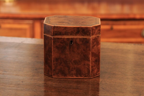 19th Century English Faux Painted Tortoiseshell Tea Caddy - Image 13