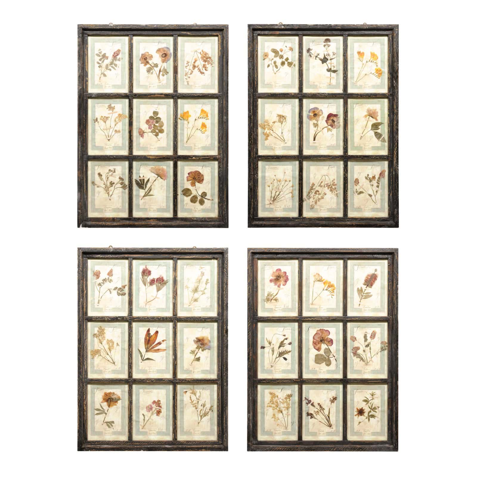 Set of 4 Large Framed French Botanical Collections. PRICED PER PAIR. - Image 2