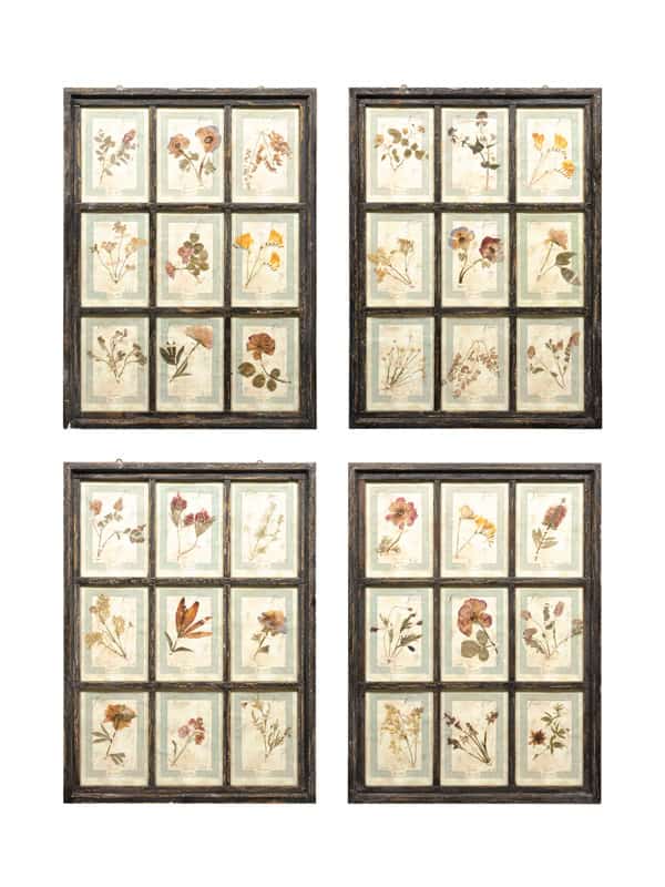 Set of 4 Large Framed French Botanical Collections. PRICED PER PAIR.