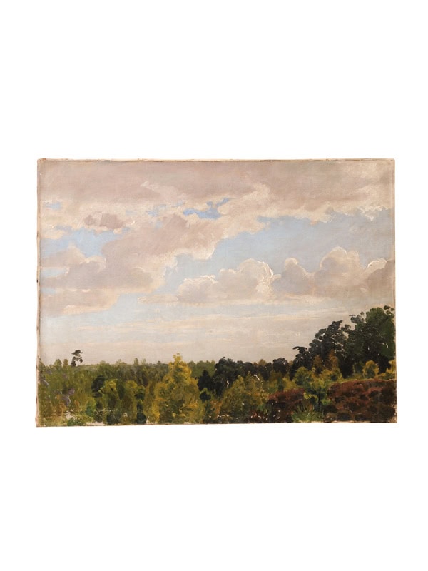 19th Century Oil on Canvas Tree Tops Painting