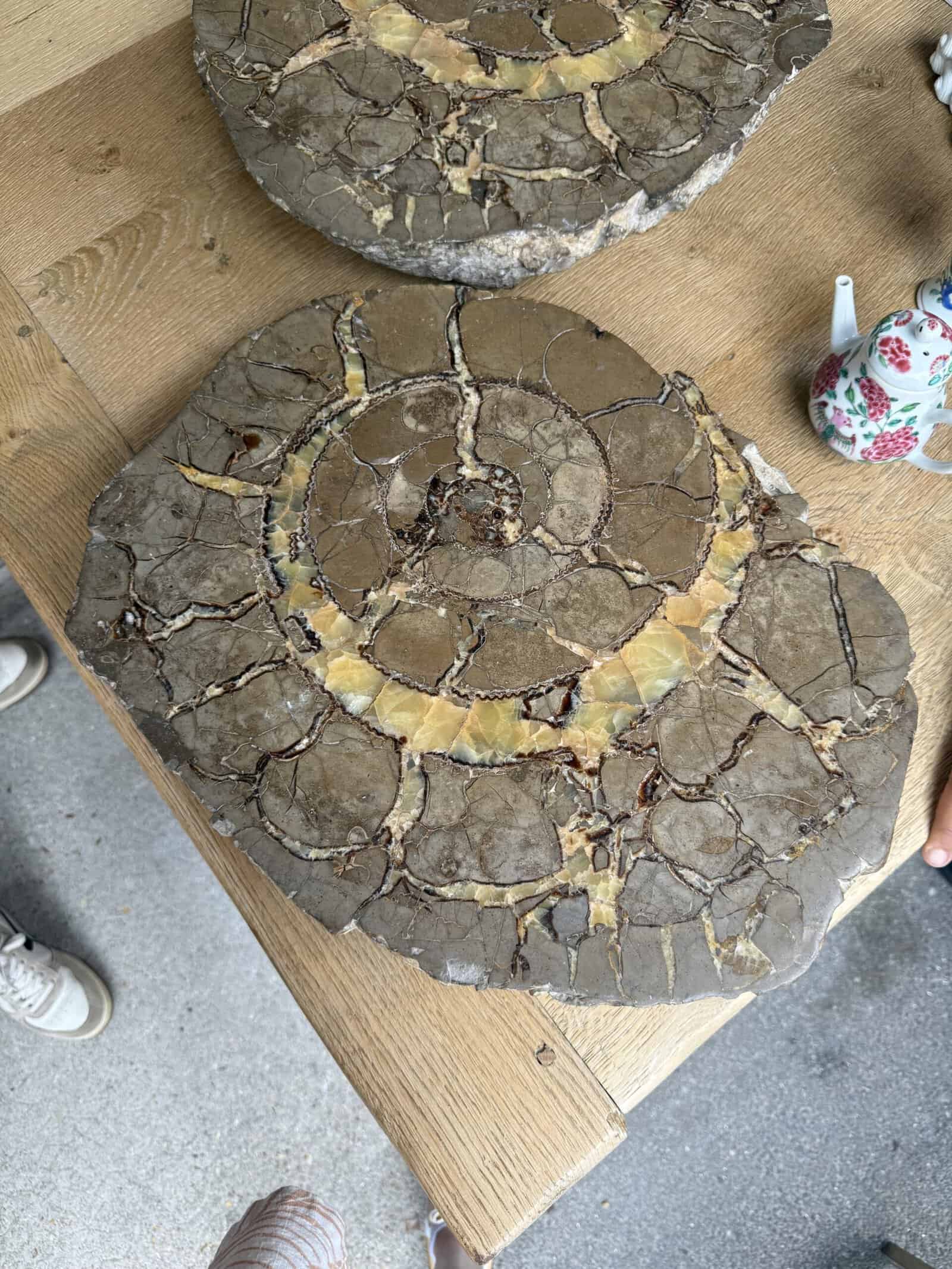 Pair of Large Fossilized / Stone Ammonites