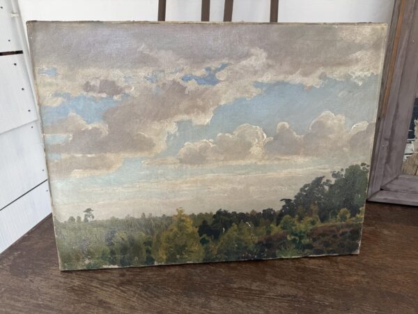 19th Century Oil on Canvas Tree Tops Painting
