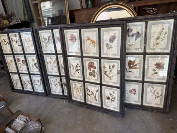 Set of 4 Large Framed French Botanical Collections. PRICED PER PAIR.