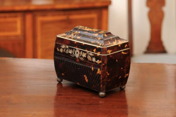 English 19th Century Tortoiseshell Tea Caddy with Mother of Pearl Detail - Image 14
