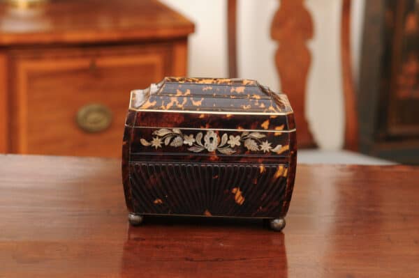 English 19th Century Tortoiseshell Tea Caddy with Mother of Pearl Detail - Image 15