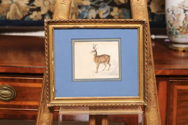 Giltwood Framed 19th Century French "Chamois" Drawing on Paper, by C Humbert 1847 - Image 3
