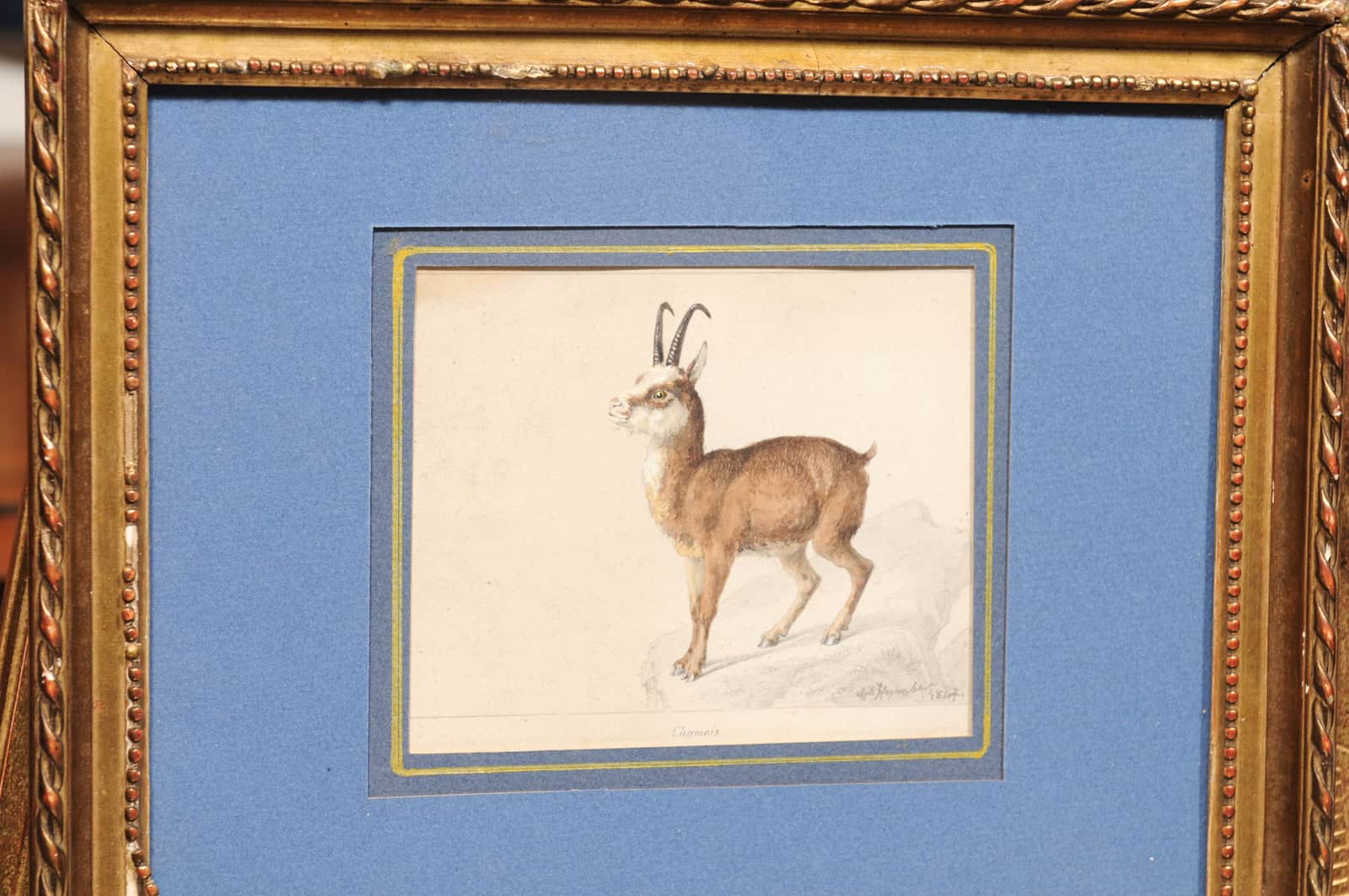 Giltwood Framed 19th Century French "Chamois" Drawing on Paper, by C Humbert 1847 - Image 5