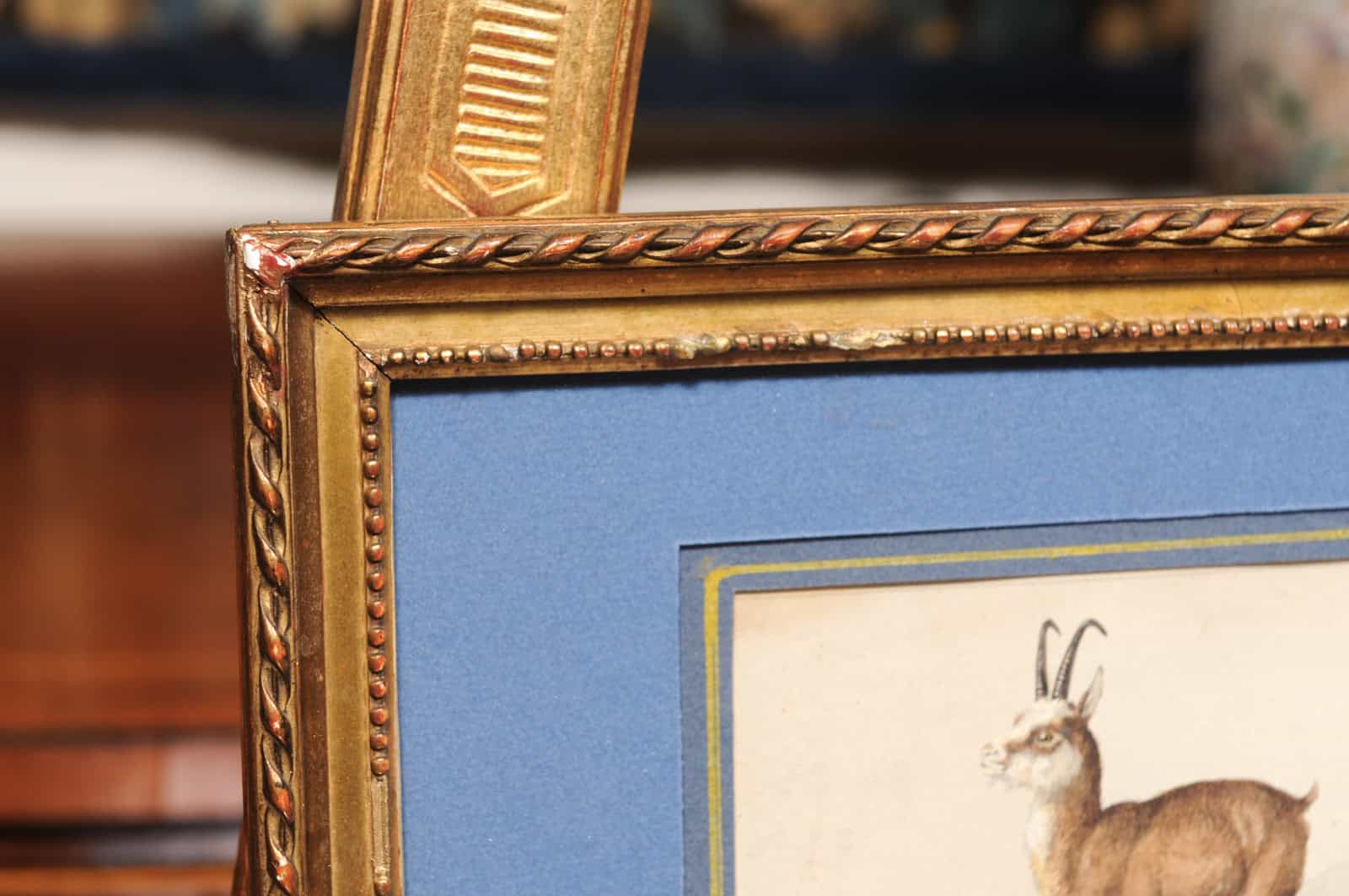 Giltwood Framed 19th Century French "Chamois" Drawing on Paper, by C Humbert 1847 - Image 6