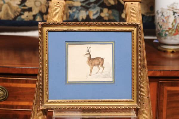 Giltwood Framed 19th Century French "Chamois" Drawing on Paper, by C Humbert 1847 - Image 7