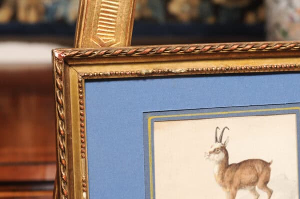 Giltwood Framed 19th Century French "Chamois" Drawing on Paper, by C Humbert 1847 - Image 8