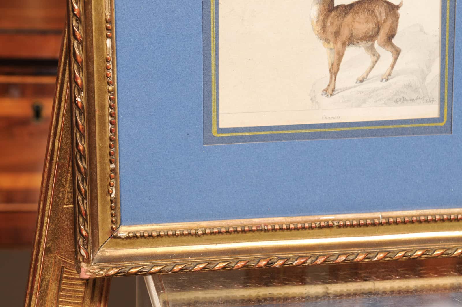 Giltwood Framed 19th Century French "Chamois" Drawing on Paper, by C Humbert 1847 - Image 9