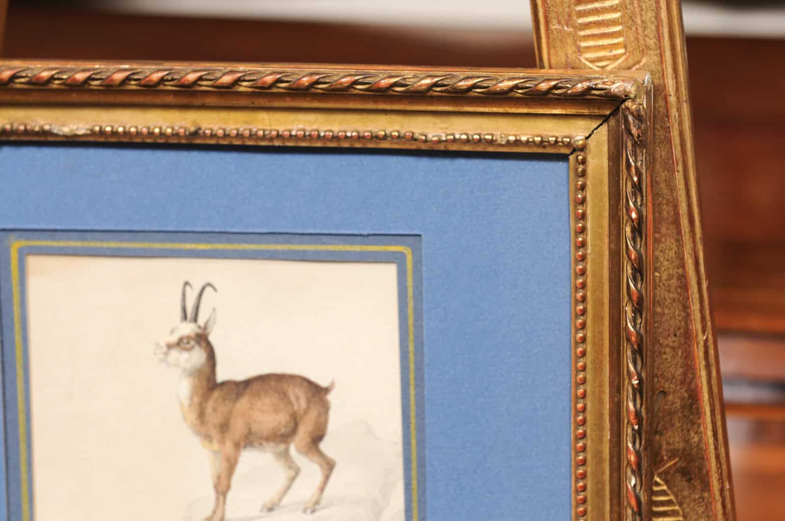 Giltwood Framed 19th Century French "Chamois" Drawing on Paper, by C Humbert 1847 - Image 10