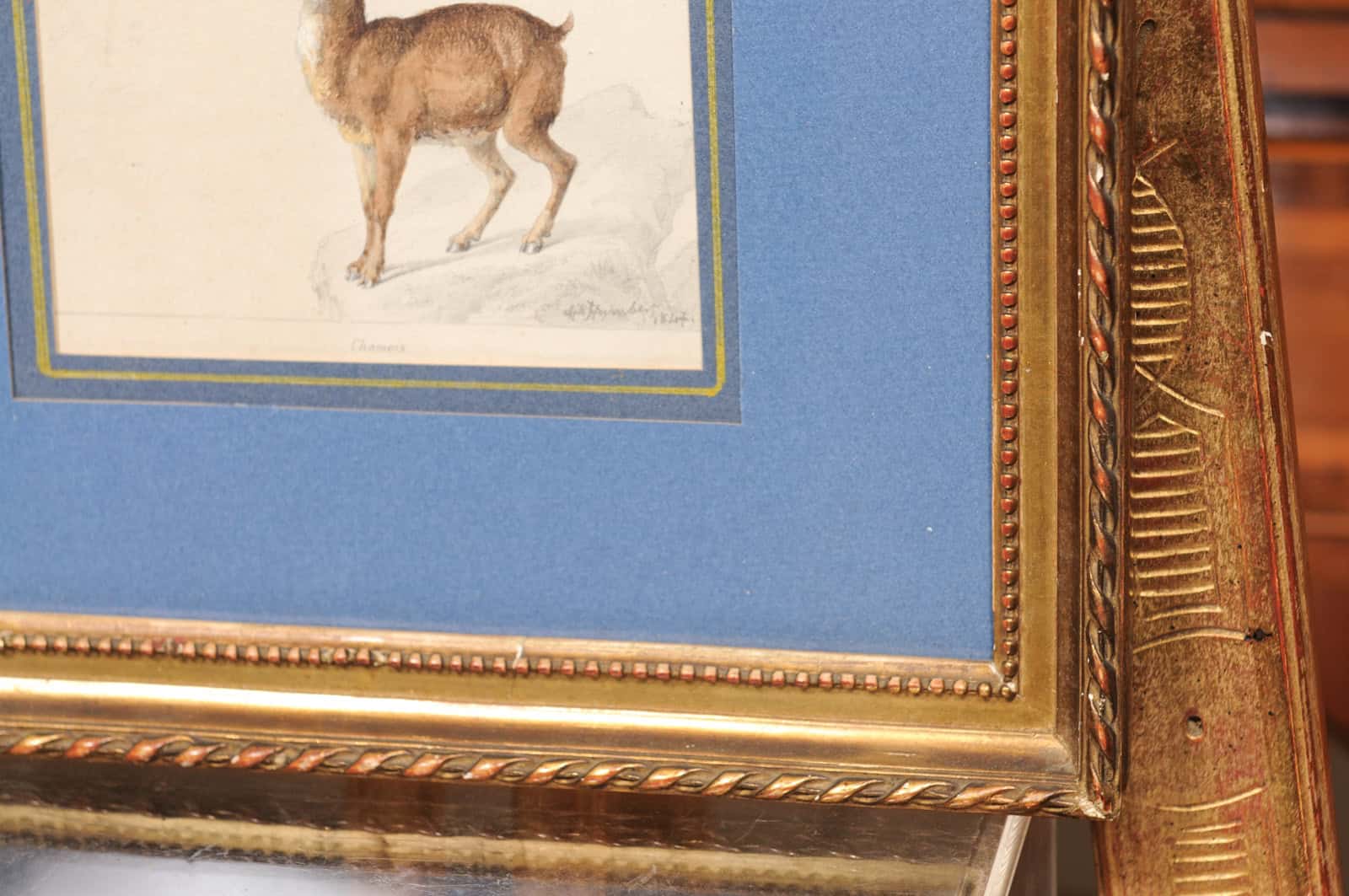 Giltwood Framed 19th Century French "Chamois" Drawing on Paper, by C Humbert 1847 - Image 11