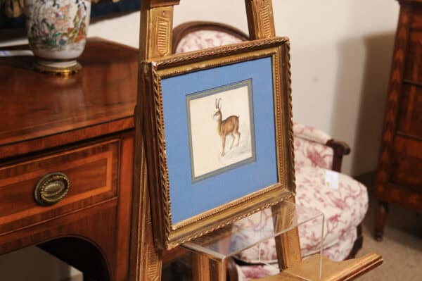 Giltwood Framed 19th Century French "Chamois" Drawing on Paper, by C Humbert 1847 - Image 13